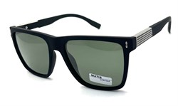 P2313 C8 5319137 17099