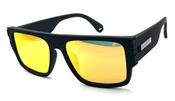 P2301 C6 5717148 17131