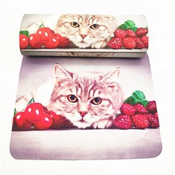 Т-20803V58  рамеры 160*62*37 см 10 шт. 1047979203