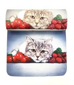 Т-20883V58  рамеры 155*50*36 см 10 шт. 668159032