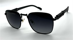 BR0363 C1 POLAR 19860