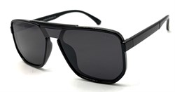 BR14064 C84 POLAR 20522