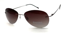 P8001 C3 POLAR 20599