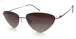 P8004 C3 POLAR 20604