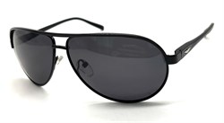 P1097 C1 POLAR 20633