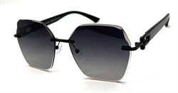 BRZ6040 C1 POLAR 20733