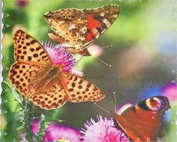 Салфетки 94 1212049802