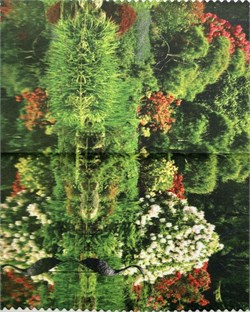 Салфетки 113 1635537305