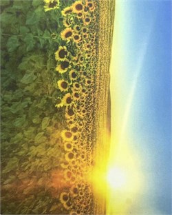 Салфетки Т-132 114083469