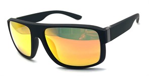 P2243 C6 5121151 17153