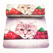 Т-20803V58  рамеры 160*62*37 см 10 шт. 1047979203