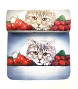 Т-20883V58  рамеры 155*50*36 см 10 шт. 668159032