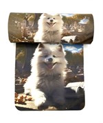 Т-20803V87  рамеры 160*62*37 см 10 шт. 1657439797