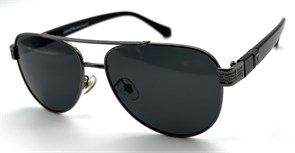 BR12038 C2 POLAR 19876