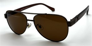 BR12038 C4 POLAR 19878