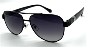 BR12038 C6 POLAR 19880