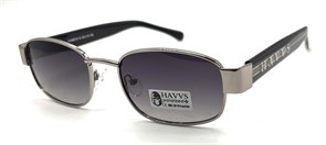 HAVVS_HV68016 B 20231