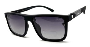 BR8967 C2 POLAR 20509