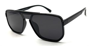 BR14064 C84 POLAR 20522