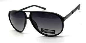 BR8631 C6 POLAR 20566