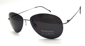 P8001 C1 POLAR 20597