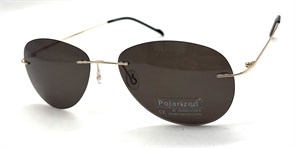 P8001 C5 POLAR 20600