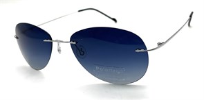 P8001 C6 POLAR 20601