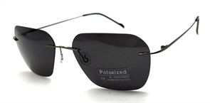 P8003 C1 POLAR 20608