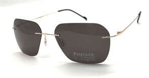 P8003 C5 POLAR 20612