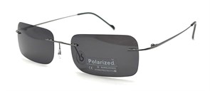 P8005 C1 POLAR 20620