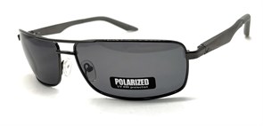 P1102 C1 POLAR 20636