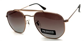 P17069 C4 POLAR 20657