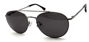 P17164 C1 POLAR 20662