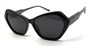 BR14034 C1 POLAR 20685