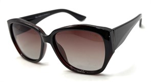 BR19038 C2 POLAR 20698