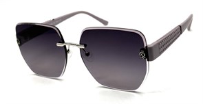 BRZ6039 C3 POLAR 20731