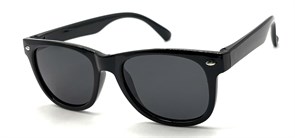 KD6049 C6 48-18-127 POLAR 20755