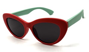 KD6069 C5 52-17-136 POLAR 20764