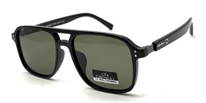 Grey-Wolf_GW5203 C3 21028