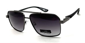 Grey-Wolf_GW4128 C6 21102